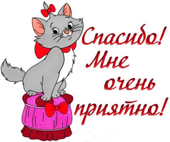 Шкаф под крышу своими руками