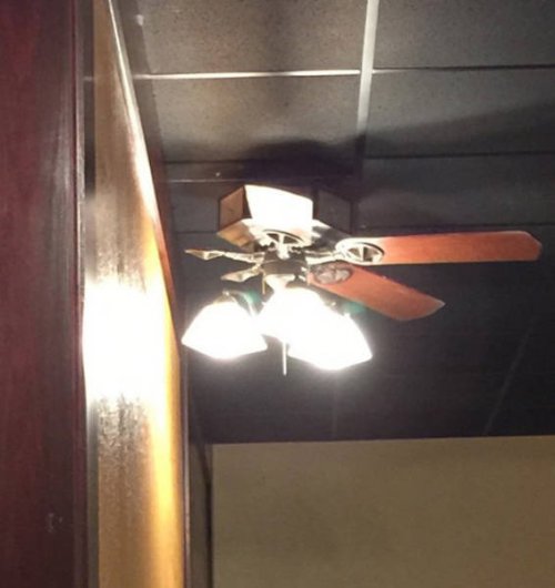 Почти получилось (30 фото) Почти получилось (30 фото)