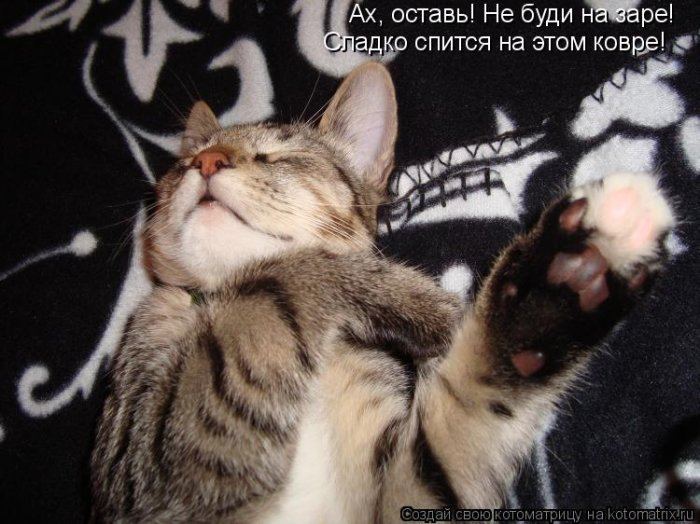 Мысли вслух :)