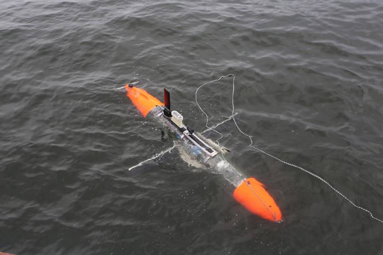 Подводный глайдер «Морская тень». Инструмент для флота и для науки