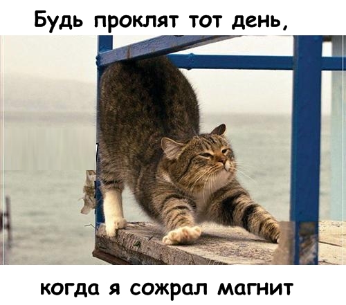 Давайте улыбаться вместе! :) (29 улыбок)