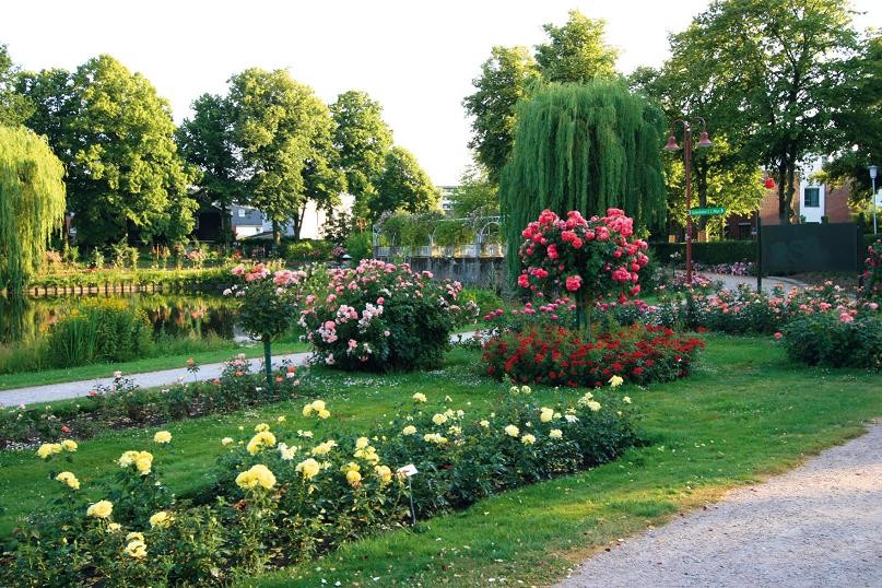 ПАРК РОЗ В ГЕРМАНИИ/ 'ROSARIUM UETERSEN'