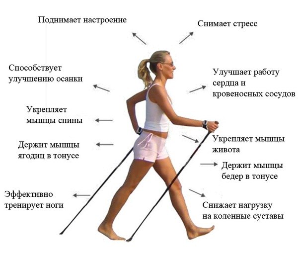 Лыжи стерлись? Или что вы хотели узнать о скандинавской ходьбе, но стеснялись спросить