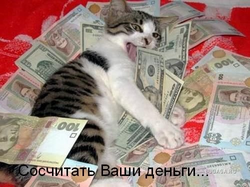Чем полезна кошка Чем полезна кошка
