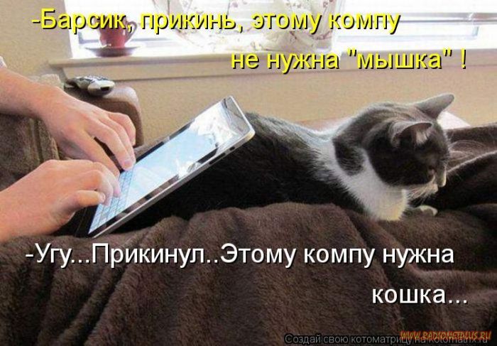 Котоматрицы великолепные, каждая с кусочком позитива и хорошего настроения!!! Котоматрицы великолепные, каждая с кусочком позитива и хорошего настроения!!!