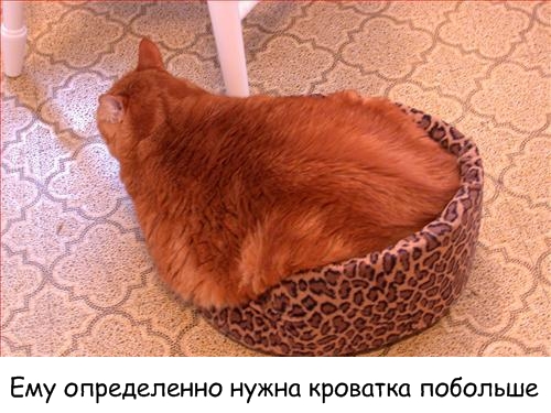 Давайте улыбаться вместе! :) (29 улыбок)
