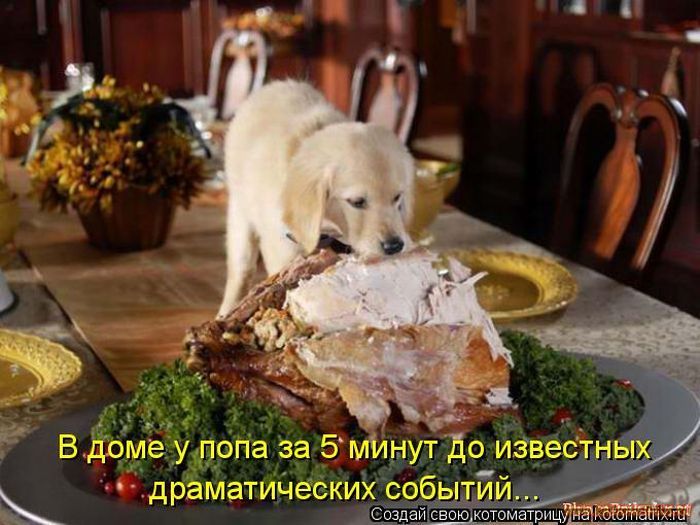 Котоматрицы великолепные, каждая с кусочком позитива и хорошего настроения!!! Котоматрицы великолепные, каждая с кусочком позитива и хорошего настроения!!!