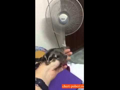 Мне так летать охото Мне так летать охото