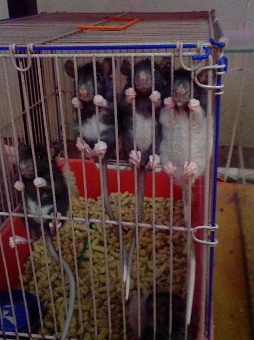 Давайте улыбаться вместе