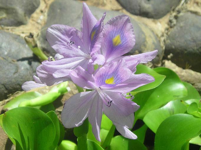 Картинка 11 из 235