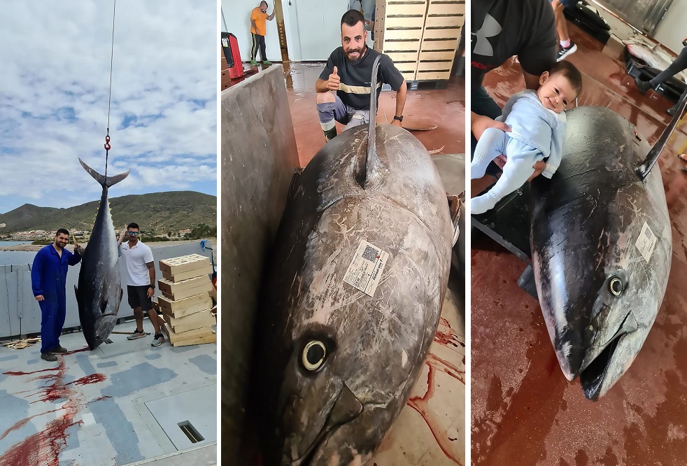Испанские рыбаки поймали тунца-чемпиона