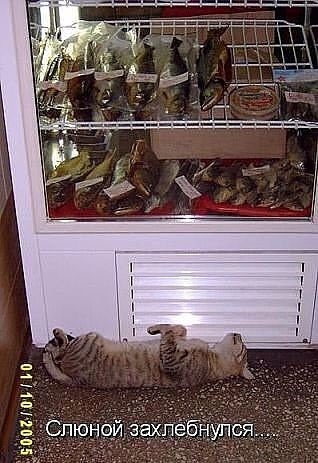 Давайте улыбаться вместе!