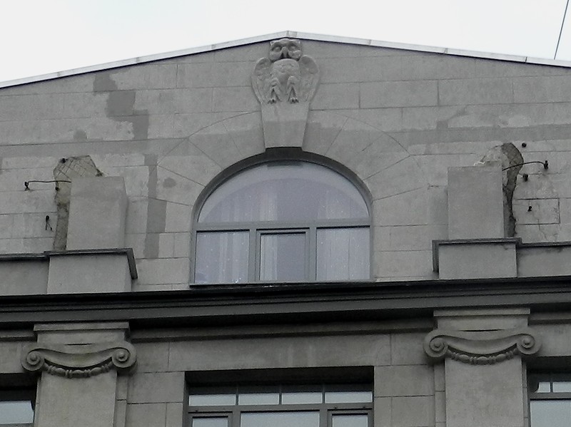 Совы Петербурга Совы Петербурга
