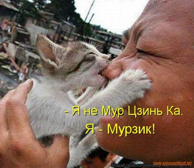 Котоматрицы великолепные, каждая с кусочком позитива и хорошего настроения!!! Котоматрицы великолепные, каждая с кусочком позитива и хорошего настроения!!!