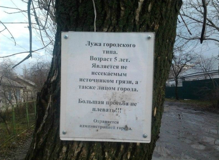 Местная достопримечательность. Местная достопримечательность.