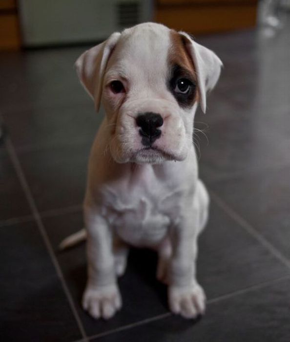 Давайте улыбаться вместе! :)