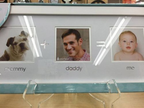 Почти получилось (30 фото) Почти получилось (30 фото)