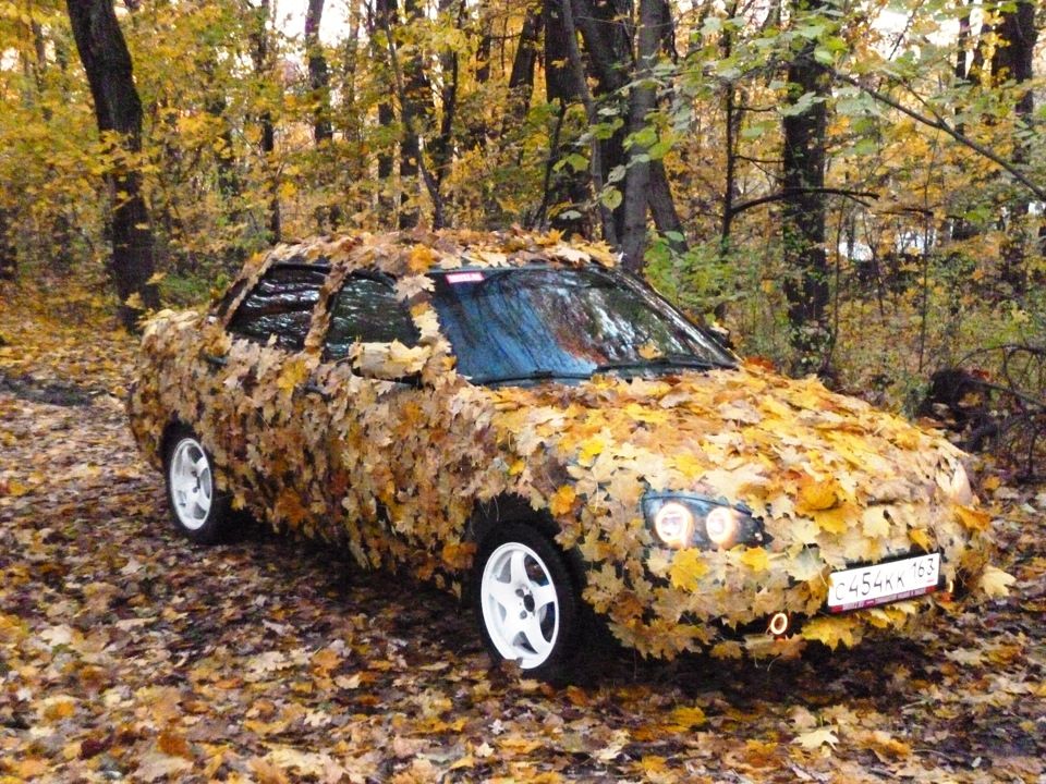 ТОП-5 автосоветов для скорой осени ТОП-5 автосоветов для скорой осени