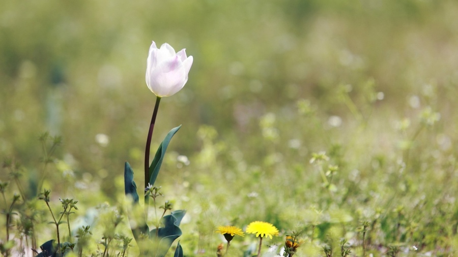 помогать другим психолог рассказывает 