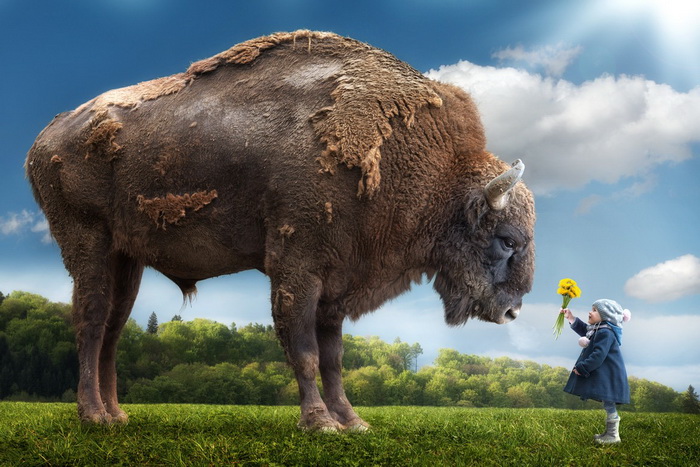ФОТОВЫСТАВКА. John Wilhelm: неожиданные детские фото ФОТОВЫСТАВКА. John Wilhelm: неожиданные детские фото