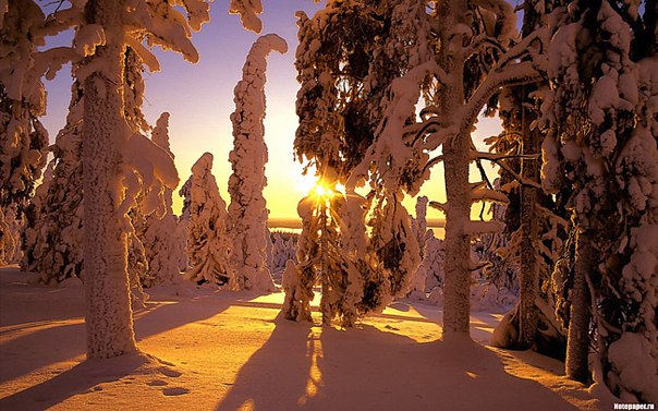 Последний месяц зимы Последний месяц зимы