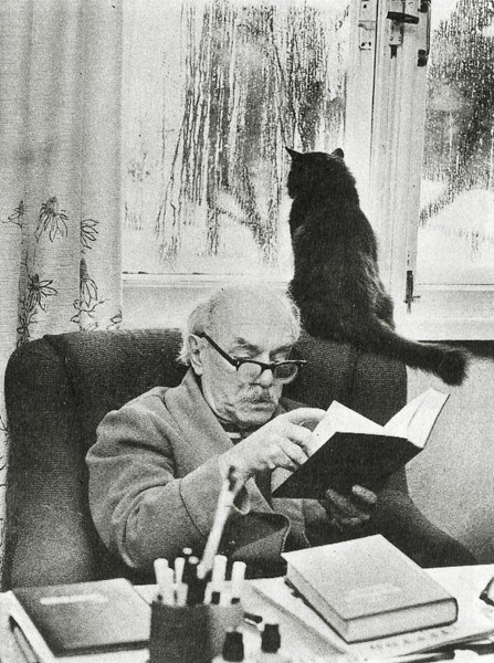 Фото  котиков,  у которых были свои великие  писатели и поэты