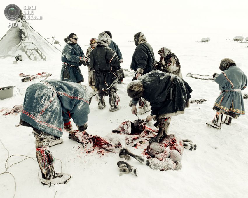 холод, племя, люди