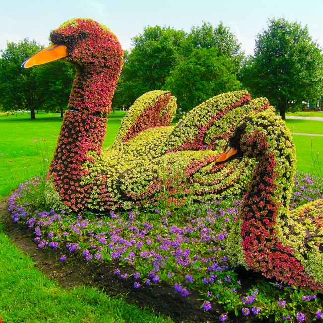 Удивительные цветочные скульптуры