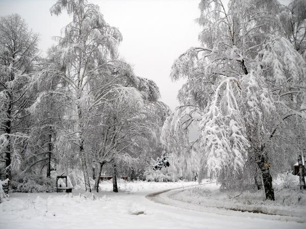 Зимняя сказка Зимняя сказка