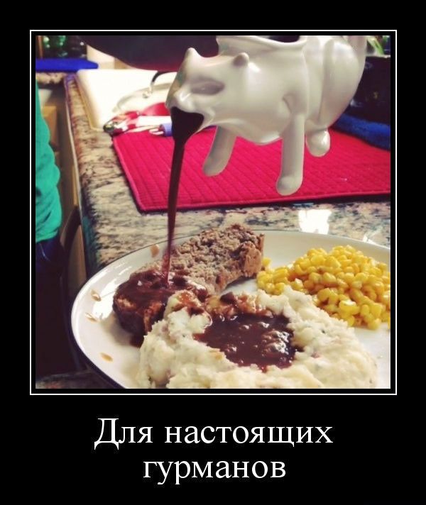 Для настоящих гурманов Свежая подборка демотиваторов, которые поднимут вам настроение