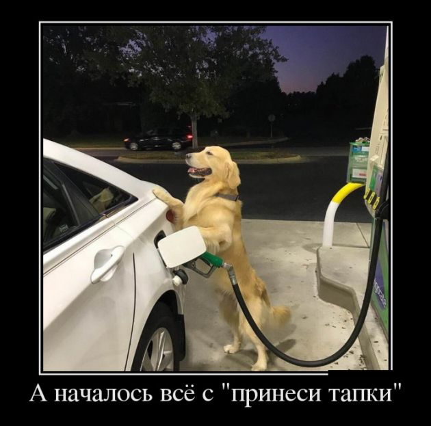 Демотиваторы (30 фото) Демотиваторы (30 фото)