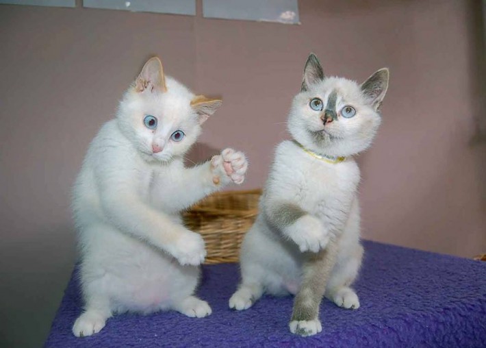 Давайте улыбаться вместе!