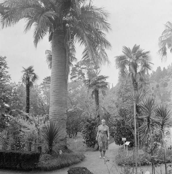 Уютный Сухуми в 1950-х годах (72 фото)