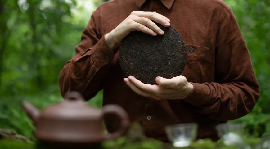 «Пейте чай медленно и с уважением, как будто он – ось, вокруг которой вращается Земля: медленно, ровно, не торопясь в будущее». Нгуен Суан Бао, дзэн-буддийский монах