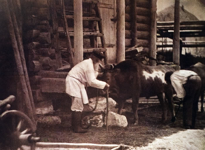 Донской казак Иван Болдырев: фотограф и изобретатель (64 фото) Донской казак Иван Болдырев: фотограф и изобретатель (64 фото)