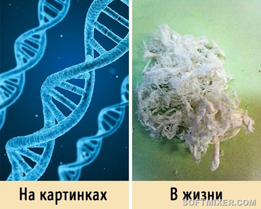 10 вещей, которые мы знаем, но плохо представляем
