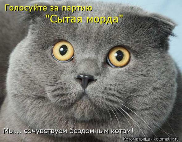 �����������(�������� � ���������)