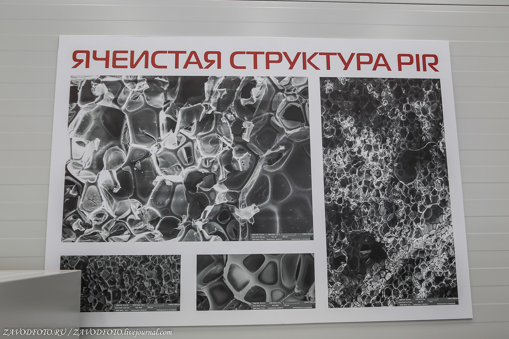 Рязанский ПИР на весь мир Рязанский ПИР на весь мир