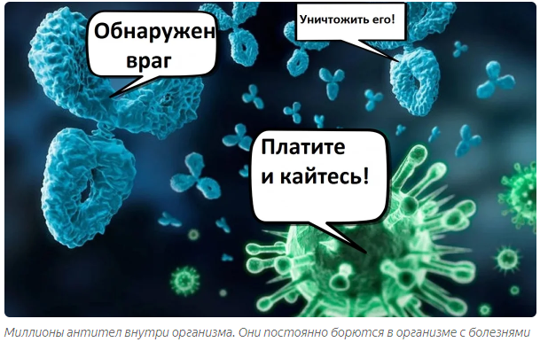 Почему наши "элиты" не наши и не элиты.
