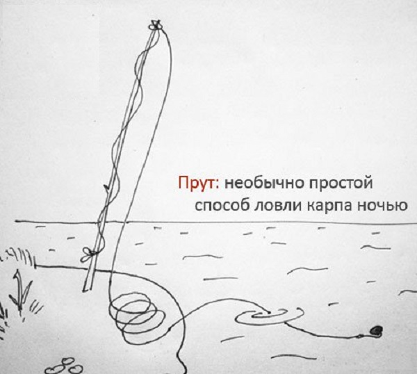запрещенные способы ловли карпа запрещенные способы ловли карпа