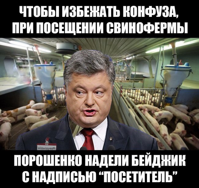 Соцсети про политику Соцсети про политику