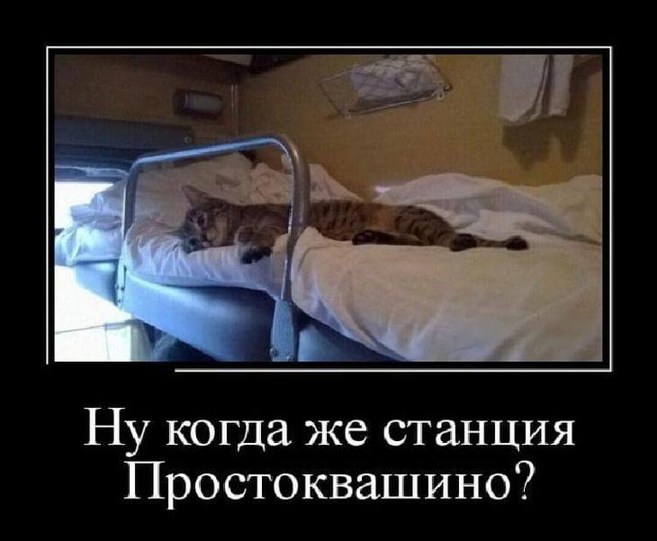 Новая порция сочнейших демотиваторов для отличного настроения