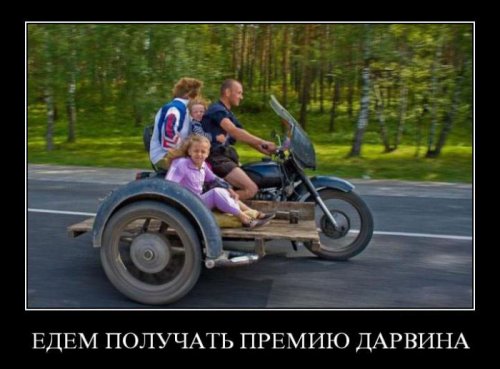 Демотиваторы-приколы (15 шт) Демотиваторы-приколы (15 шт)