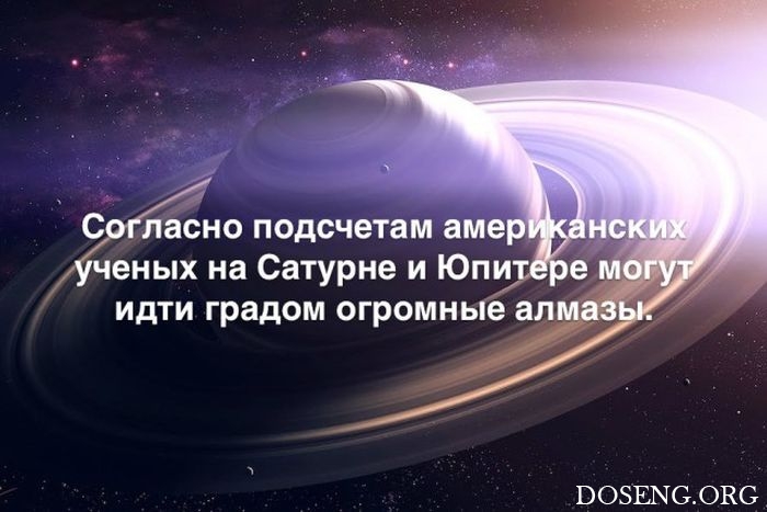 Любопытные и интересные факты обо всем на свете Любопытные и интересные факты обо всем на свете