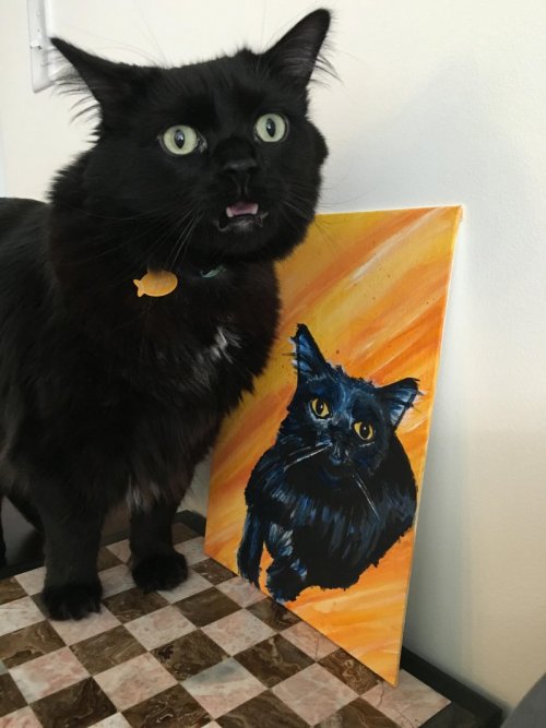 Прикольные картинки - свежачок