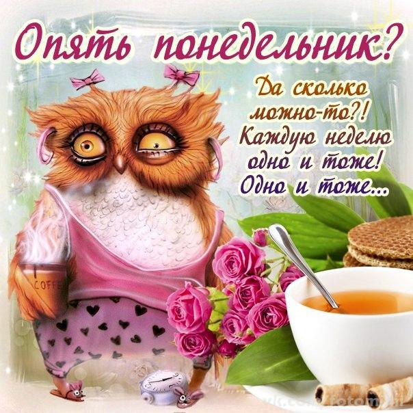Открытки с пожеланиями смешные Открытки с пожеланиями смешные