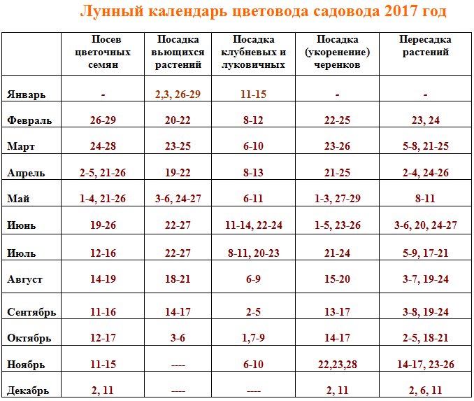 Лунный посевной календарь для цветоводов Лунный посевной календарь для цветоводов