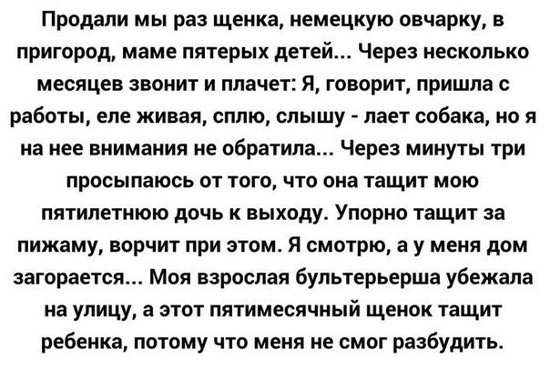 Смешные комментарии из социальных сетей Смешные комментарии из социальных сетей приколы, смешные комментарии, юмор