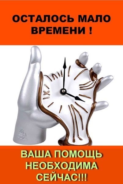 Для их спасения осталось совсем мало времени... Откликнитесь! Помогите!
