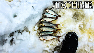 ЛОВУШКА ДЛЯ РЫБЫ ИЗ ЛЬДА - ЛЕДЯНОЙ ТУПИК